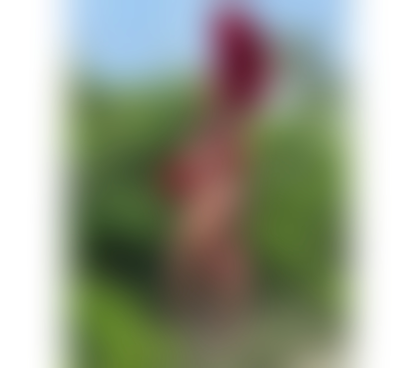 Trans Escorts Essex Thurrock - Essex - Photos for ÍNDIA CAVALONA XXL🍆